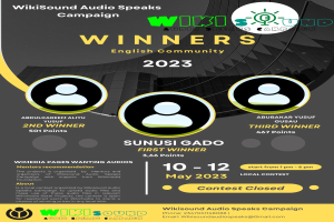 Hellbuntes Plakat mit blauem Hintergrund und gelb/weißer Schrift, die 'Gewinner' des Wikisound Audio Speaks Campaigns ankündigt, mit lachenden Menschen in Feierlaune.