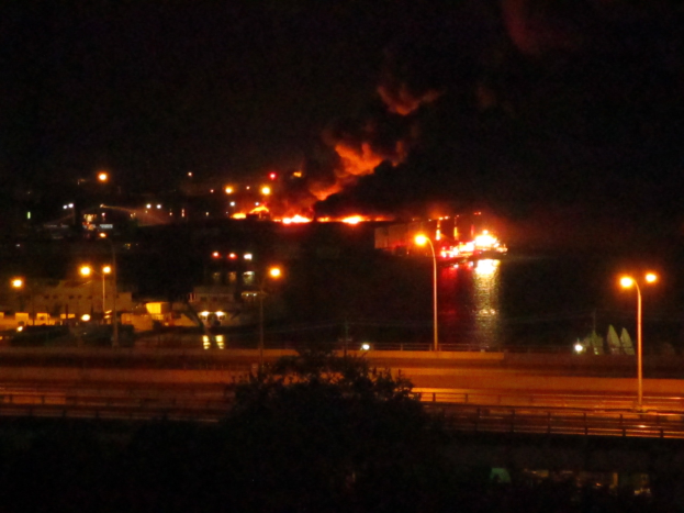 Großbrand in einer Stadt bei Nacht, mit Straßenlaternen, einem Baum im Vordergrund, dunklem Himmel und naher Wasserfläche.