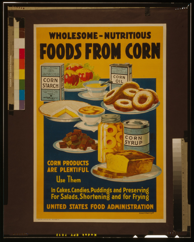 Buntes Plakat der United States Food Administration mit nährstoffreichen Lebensmitteln wie Obst, Gemüse, Getreide und Milchprodukten sowie der großen Schrift "Gesunde-Nährstoffreiche Lebensmittel aus Mais" auf hellblauem Hintergrund.