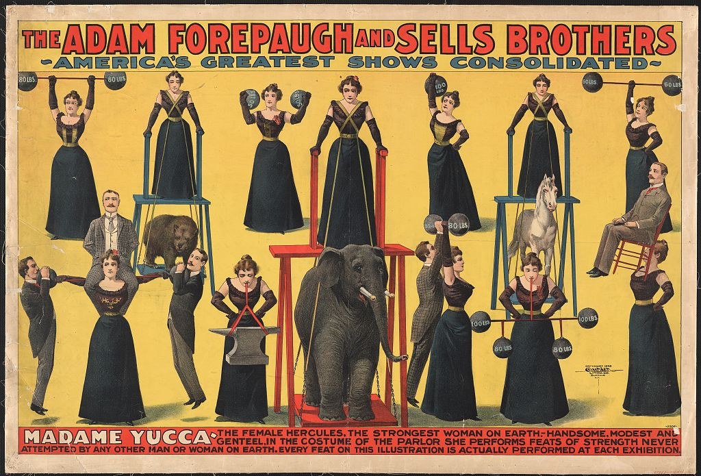 Plakat für Adam Forepaugh und Sells Brothers, Americas Greatest Shows Consolidated, das eine Gruppe von Menschen auf Hockern mit einem Elefanten in der Mitte zeigt, einige halten Gegenstände und es gibt Text.