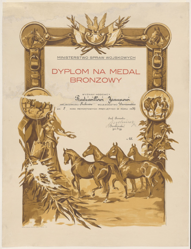 Ein Plakat mit einer Gruppe von Pferden, die in einem Feld laufen, vor einem Sonnenuntergang als Hintergrund, zusammen mit dem Text "Dyplom na Medal Bronzowy".