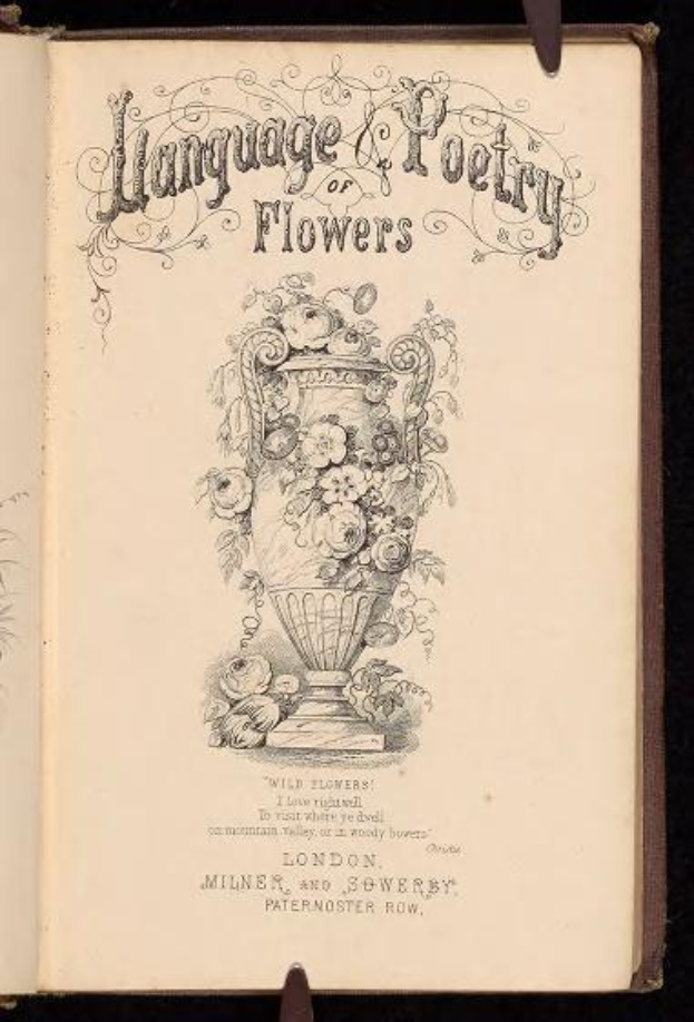Offenes Buch mit dem Titel "Sprache und Poesie der Blumen" (1867) von Milner und Sowerby, das eine Zeichnung einer Vase mit Blumen auf seinen Seiten zeigt, vor einem dunklen Hintergrund.