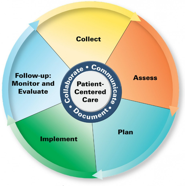 Ein kreisförmiges Diagramm mit der Überschrift "patientenorientierte Pflege" und vier farbigen Abschnitten, jeweils mit einer spezifischen Pflegeart beschriftet.