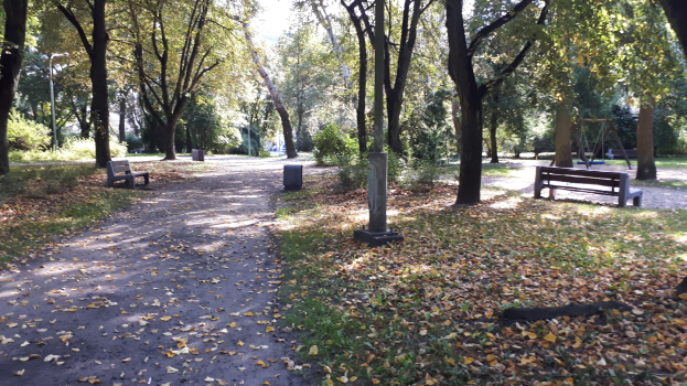 Ein Parkweg gesäumt von hohen, grünen Bäumen und Bänken, bedeckt mit verstreuten trockenen Blättern und einem schattigen Blätterdach darüber.