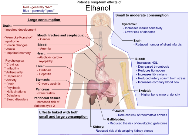 Diagramm des menschlichen Körpers mit "Ethanol" beschriftet, das mögliche langfristige Auswirkungen auf den Körper zeigt.