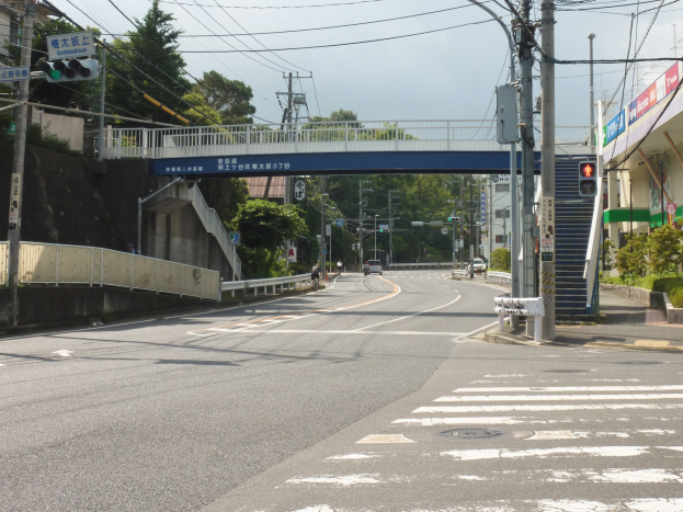 Stadtstraße mit einer Fußgängerbrücke darüber, Fahrzeuge auf der Straße, Strommasten und -leitungen, Verkehrsampeln, Schilder, Gebäude, Bäume und ein sichtbarer Himmel.