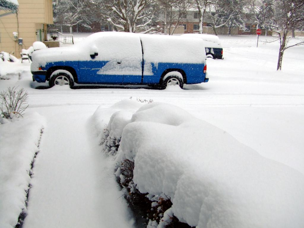 Eine schneebedeckte Landschaft mit Pflanzen im Vordergrund, Fahrzeugen und Stühlen in der Mitte und Bäumen, einem Schild und Gebäuden im Hintergrund.