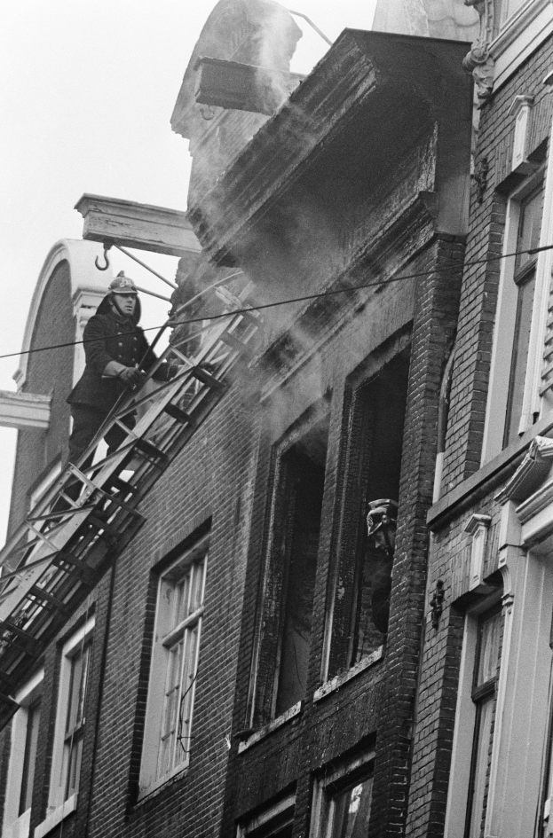 FW-BO: Feuerwehrleute retten hilfloses Katzenkind 'Loki' vom Dach eines Wohnhauses