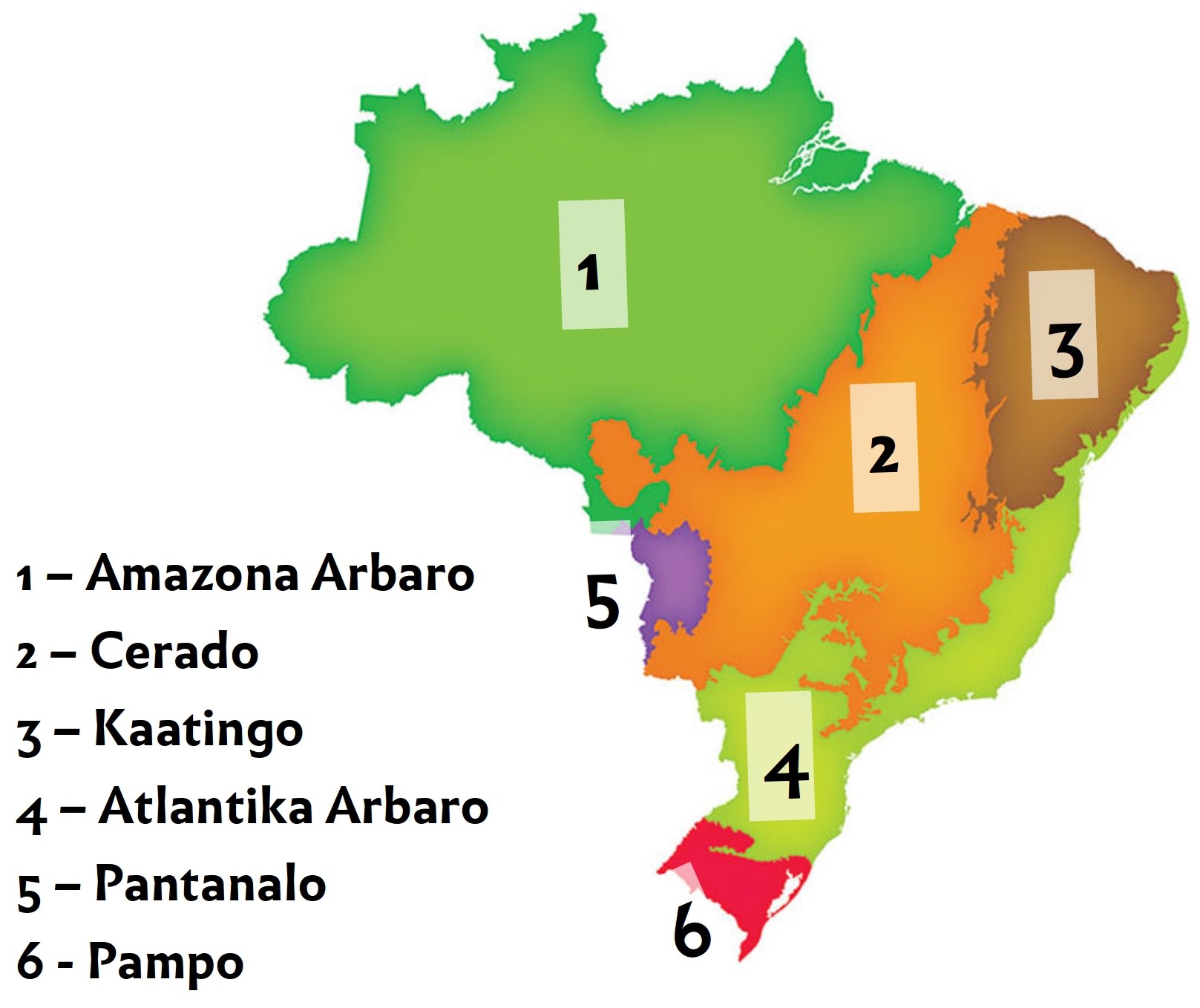 Eine bunte Karte von Brasilien mit hervorgehobenen Provinzen, die die Amazonas-Region auf der linken Seite zeigt.