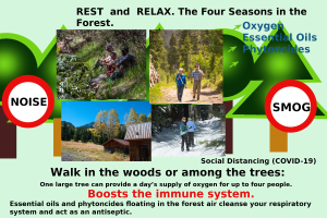 Plakat mit dem Titel "Ruhe und Entspannung die Vier Jahreszeiten im Wald" mit Bildern von Menschen, die durch einen bewaldeten Bereich mit Bäumen und einem Haus gehen, um Entspannung in der Natur zu fördern.