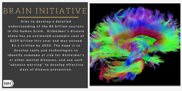 Ein Plakat mit einer bunten Illustration eines Gehirns auf der rechten Seite und Text auf der linken Seite, der das Ziel der Brain-Initiative beschreibt, die 86 Milliarden Neuronen im menschlichen Gehirn zu verstehen.