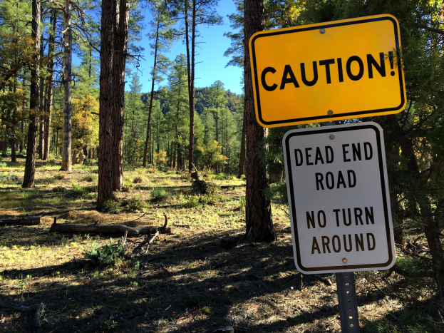 Vorsichtshinweis in einem Wald mit der Aufschrift "Sackgasse - Keine Wende" mit Bäumen und einem klaren Himmel im Hintergrund.